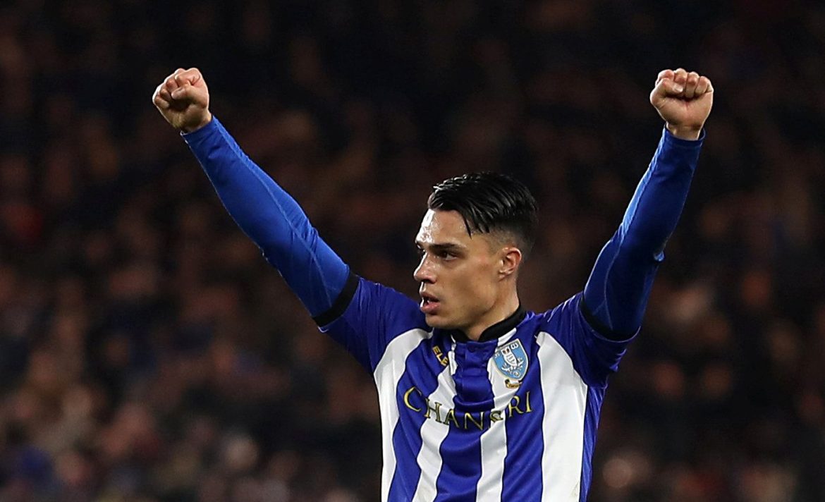 Sheffield Wednesday: Joey Pelupessy thinks squad leadership can improve form